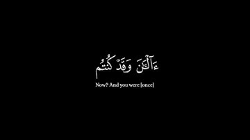 كروما بصوت عبد الرحمن مسعد سورة يونس أثم إذا ما وقع آمنتم به قل لا أملك لنفسي ضرا ولا نفعا)