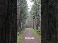 My photography skills #nature #tress #beautiful #view #amazing