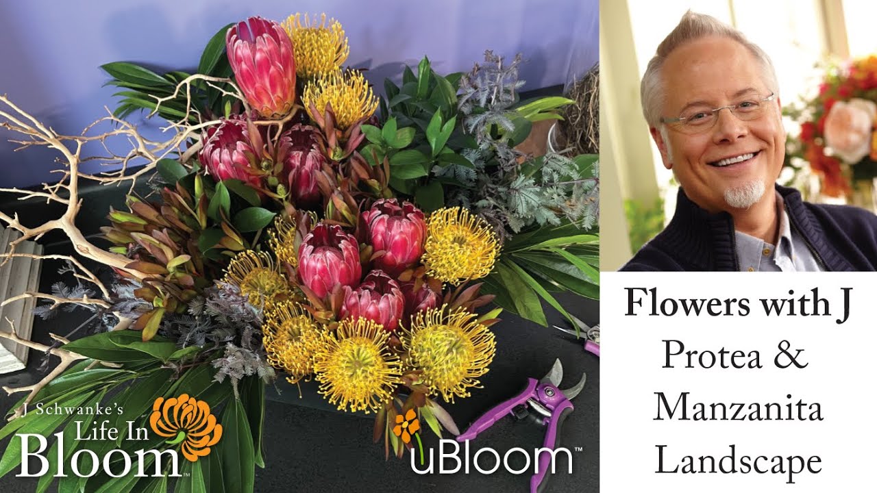 Splendor Protea Arrangement with Manzanita- LIVE with J