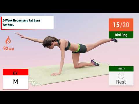 2 Week No Jumping Fat Burn Workout/2 კვირიანი ხტომების გარეშე