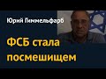 "ФСБ стала посмешищем". Юрий Гиммельфарб о развенчании "грозной" спецслужбы