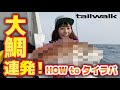 大ダイ連発！　HOW to タイラバ　with tailwalk