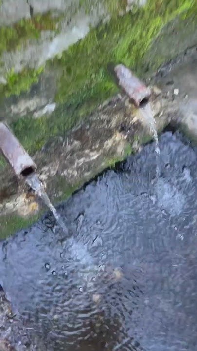 Болгария. Вода тёплая#short #shortvideo #bulgaria - YouTube