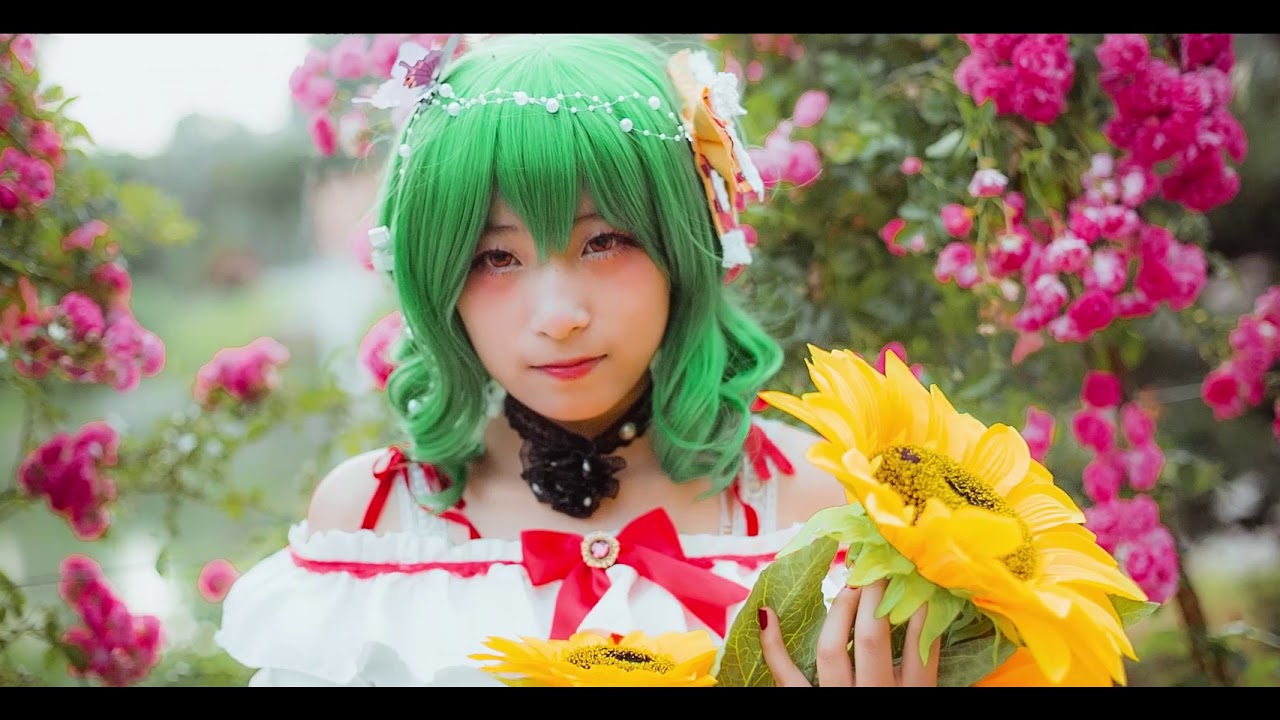 東方project 風見幽香 Youtube