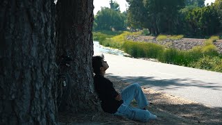 That spark of emotion we call curiosity