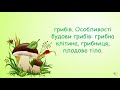 Особливості живлення грибів. Особливості будови грибів: грибна клітина, грибниця, плодове тіло.