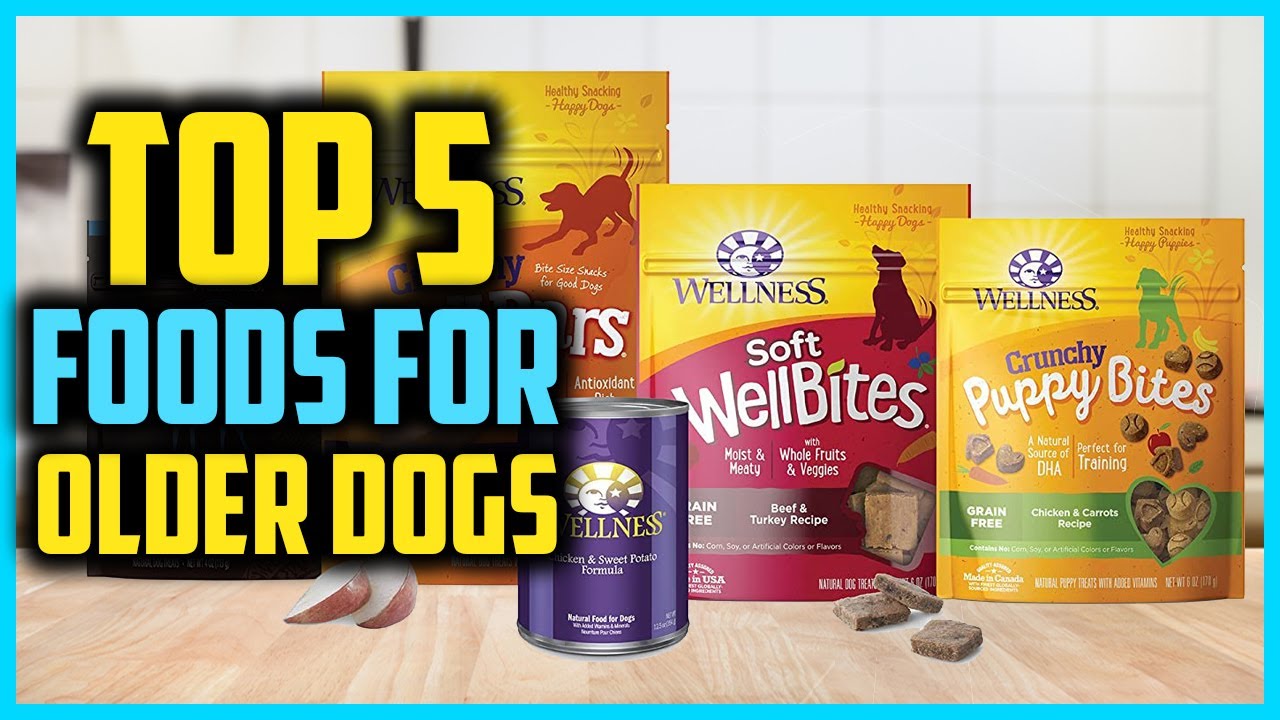 Top 5 Best Foods for Older Dogs of 2024 YouTube