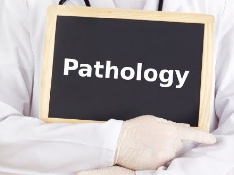 Pathology Review- Congenital GIT disorders