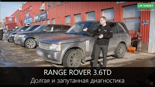 Range Rover 3.6 TD - вибрация в кузов, долгая и запутанная диагностика.