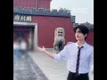 #zhanzhaoadventures #zhanzhao #yangyang #yangyang杨洋 #chinesedrama #cdrama #yangyangbangladeshifans