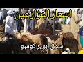 سوق ابوير كومبو واسعار المزارعين وعرض وتغطيه كامله للسوق