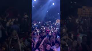 Edward Maya Show | New Song ZILEVO