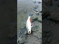 Fishing over night #camping #fishing #outdoor #hunting
