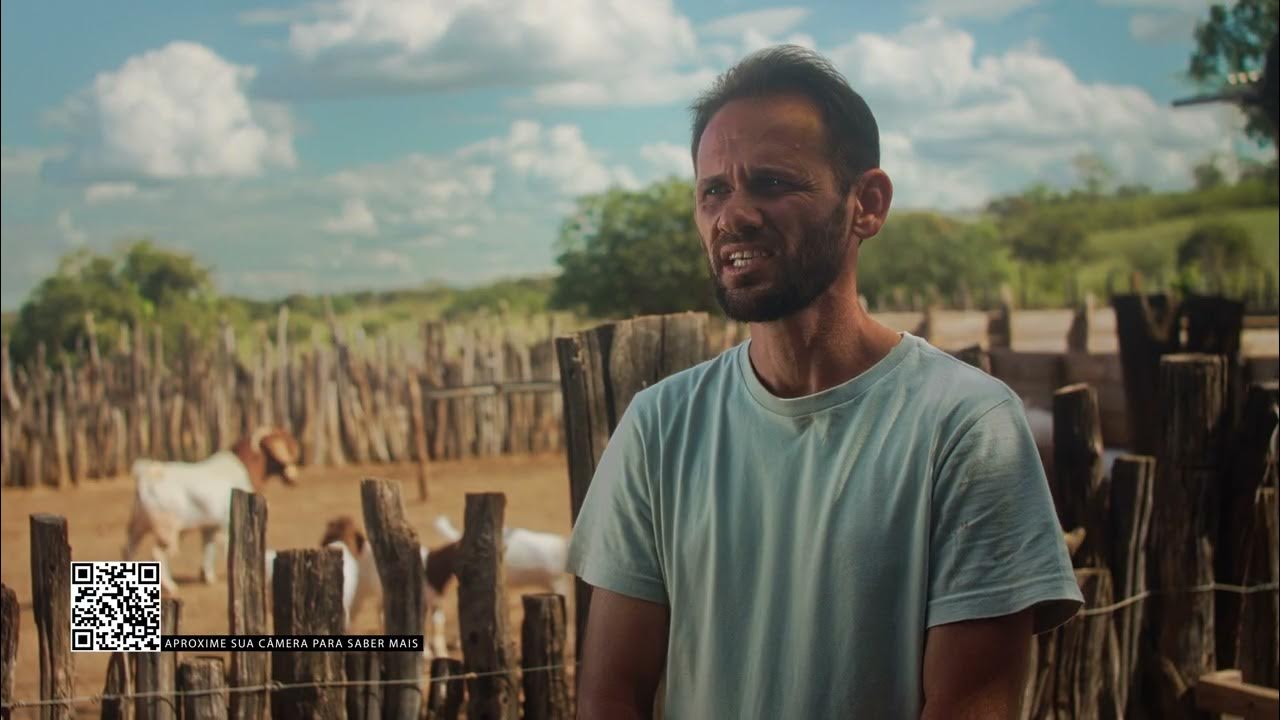 Santa Transmedia Pecuária YouTube