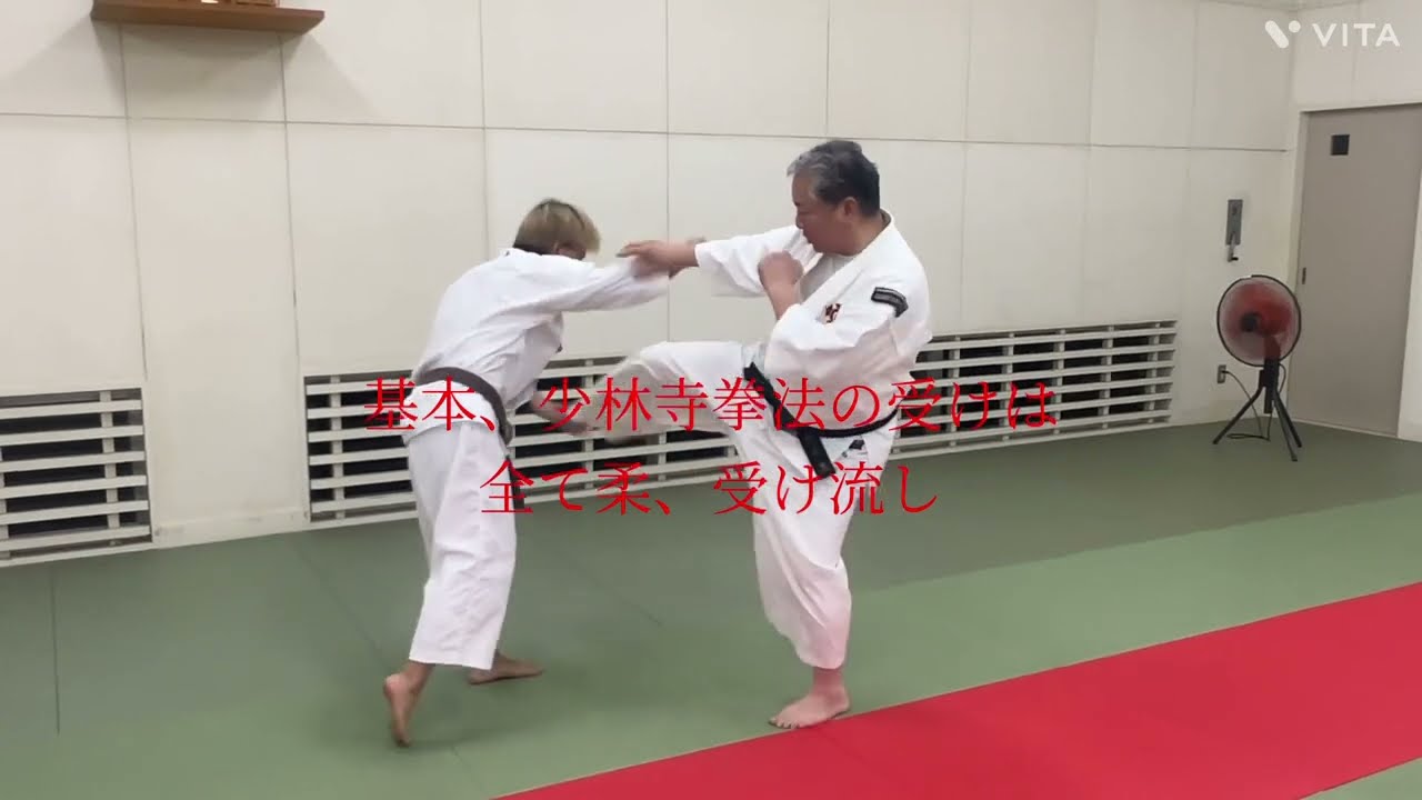 Shorinji　Kempo　   上受蹴・表/裏　Uauke keri /Omote ura  5級科目  少林寺拳法