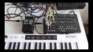 Moog Mavis & Boss RE-2 Space Echo