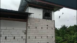 sp kunfayakun.juss arafah.mantap respon selepas hujan.waleter pemula.