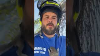 Squirrels Find New Home  On Workers Chest 🤣