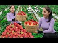 Harvesting strawberry  cooking with my daughter  emma daily life