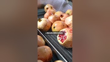 pomegranate juice processing plant for automatic factory