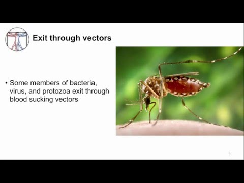 Intro to Micro: Exit