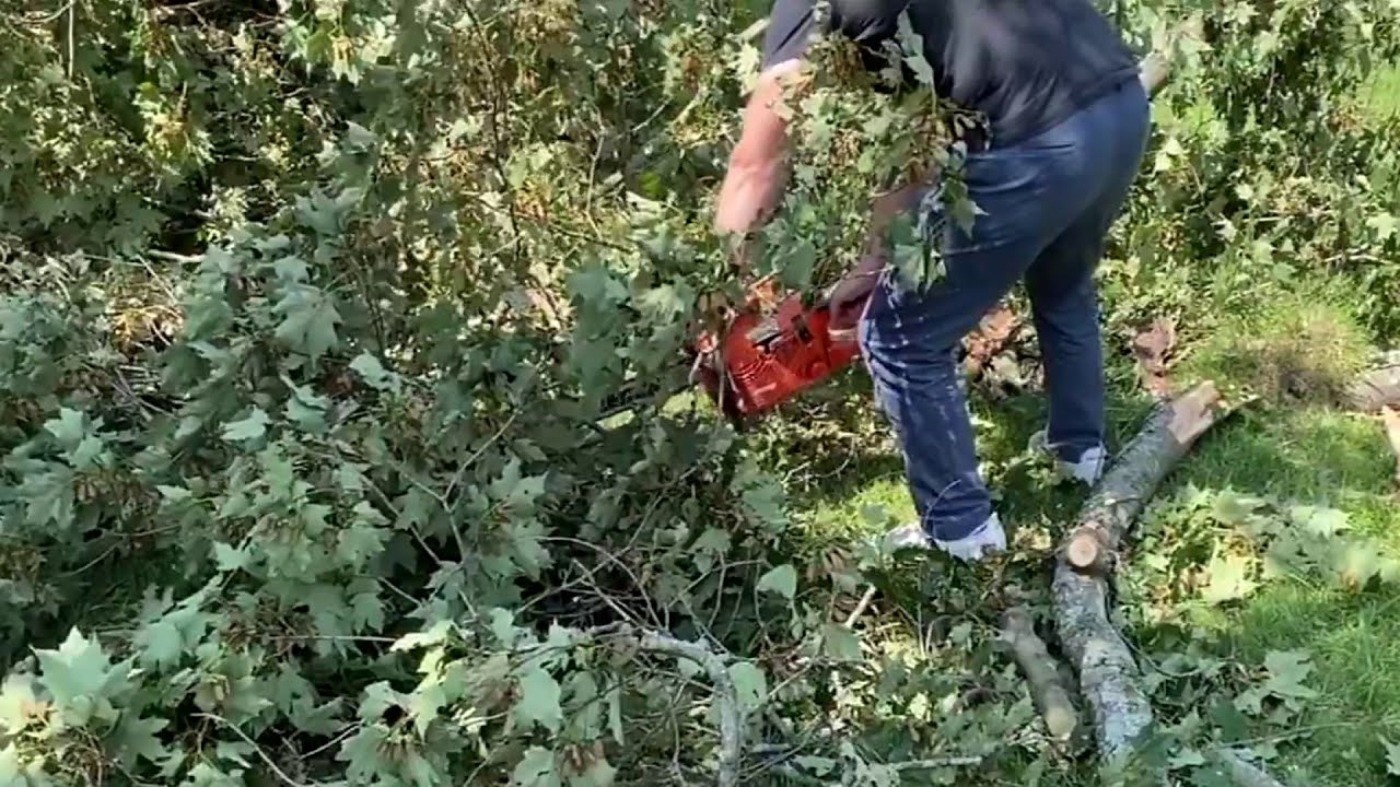 How to avoid tools that fail for fall yard clean-up