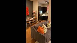 The Belvedere One Bedroom Tour