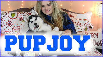 PUPJOY Unboxing with SIBERIAN HUSKY