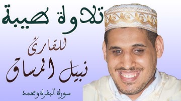 تلاوة طيبة للقارئ نبيل المساق || ما تيسر من سورتي البقرة ومحمد / quran