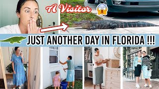 AN ALLIGATOR RIGHT OUTSIDE 🐊 😱 | Days in Our Life in Florida | Spring Cleaning
