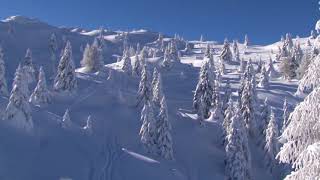 Italy skiarea madonna di campiglio screenshot 2