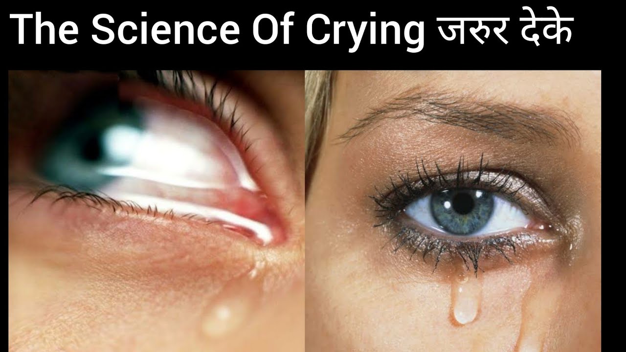 Physiology Of CryingStress HormonesHappy HormonesA Good Cry Is