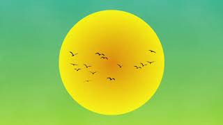 Serem Ocells - Piano / Oques Grasses