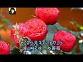 【後藤ケイ:オリジナル曲】冬薔薇/作詞・作曲:夏樹隆一