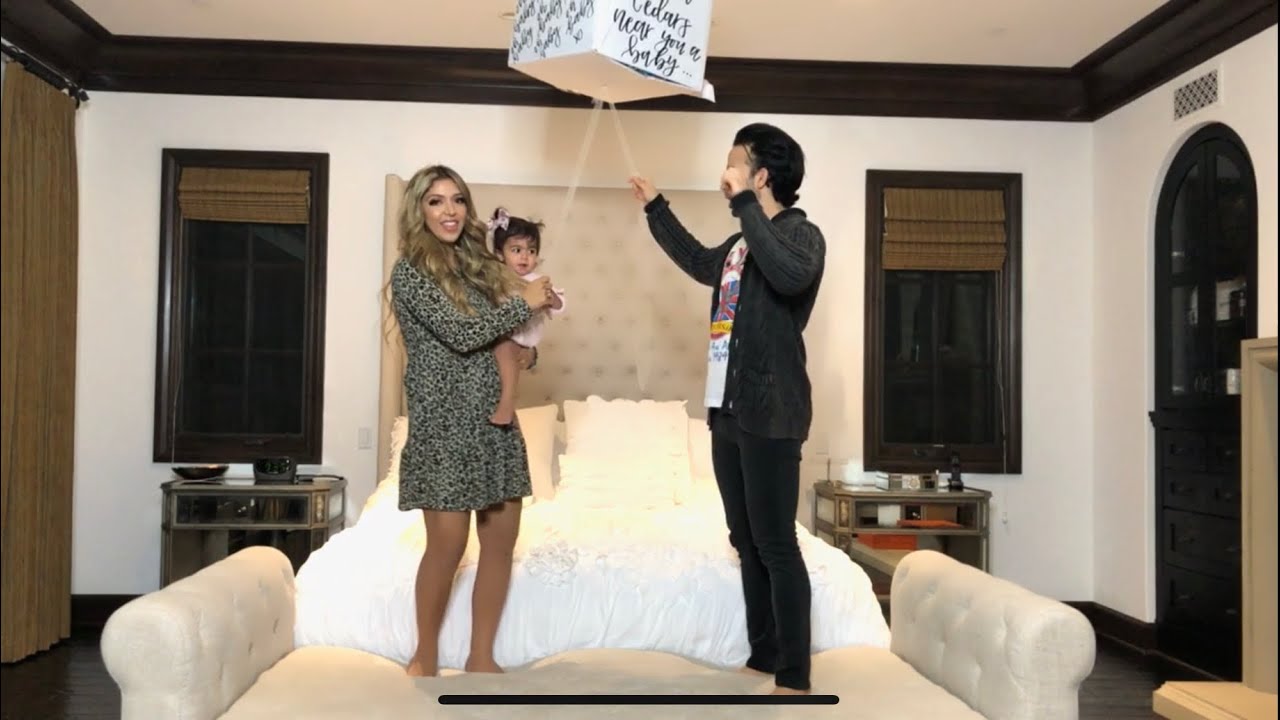 THE ZARRABI FAMILY GENDER REVEAL YouTube