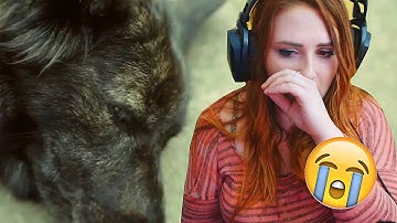 Most Touching Video! (try not to cry challenge) - REACTION !