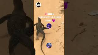 Ketika Helcrut Di Kejar Martis