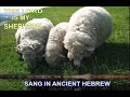 Psalm 23 Sang in ancient Hebrew