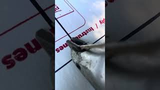 Cutting Thermo Ply and leaving a clean edge