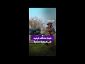 الأمن البيئي يضبط مخالفا لارتكابه مخالفة رعي بمحمية الملك عبد العزيز الملكية