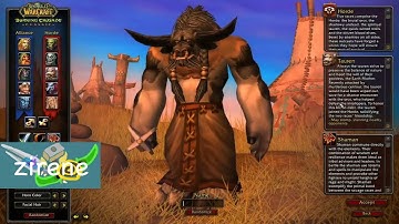 HOW TO CHANGE YOUR NAME IN WOW WOTLK / TBC CLASSIC! ( working 2024 )