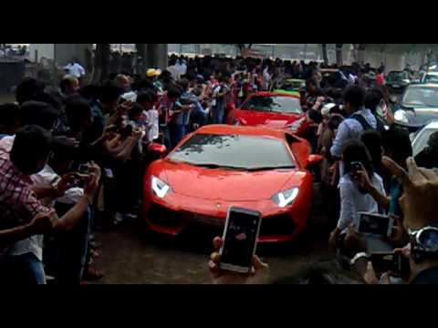 gouramis and shrimp 4 Lamborghinis & 2 Ferraris revving hard @ Parx Rally