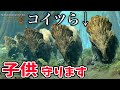 【ワイルズ】ダルトドンは群れ全体で子どもを育てます【4K映像】