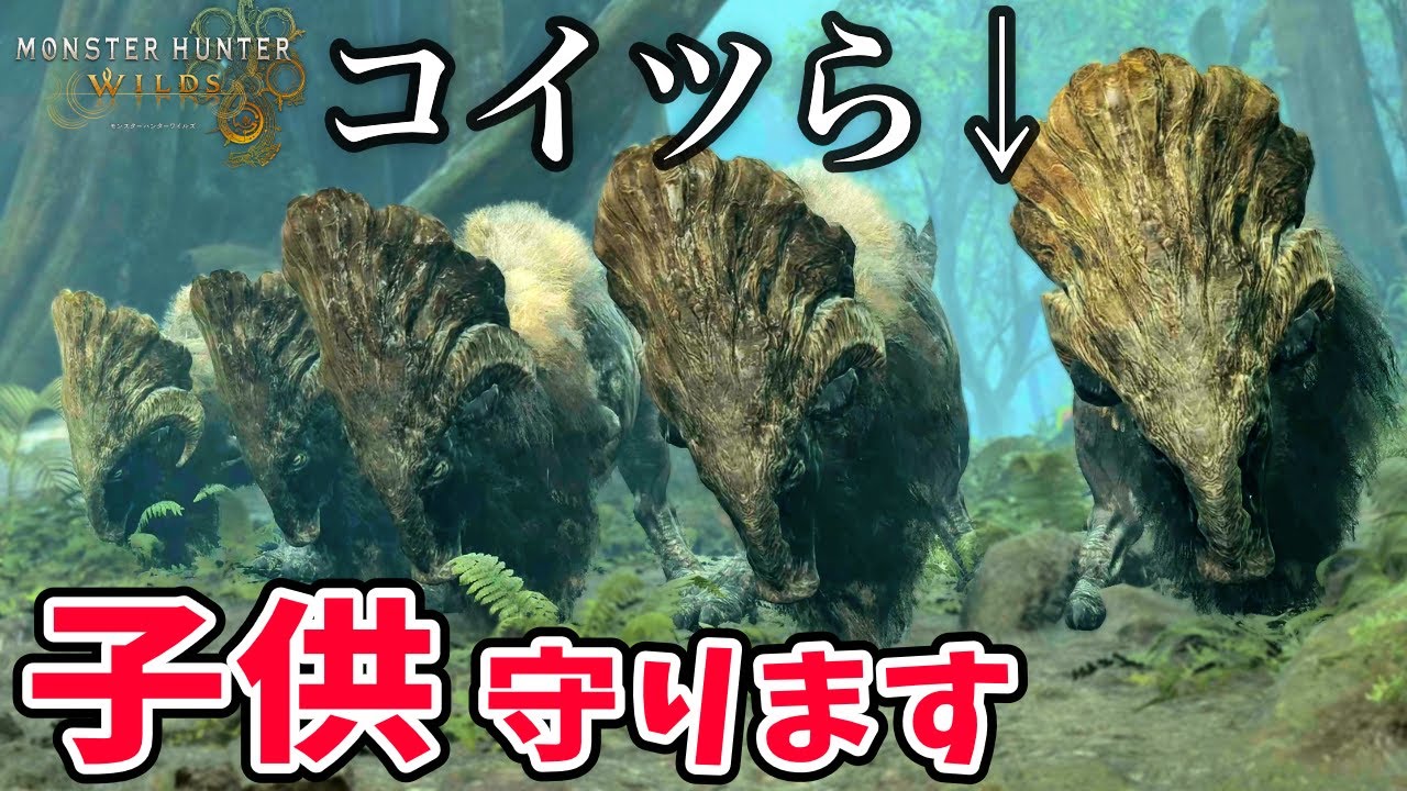 【ワイルズ】ダルトドンは群れ全体で子どもを育てます【4K映像】