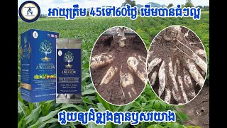 កសិករដែលបានប្រើប្រាស់ អេ វី ក្រូ