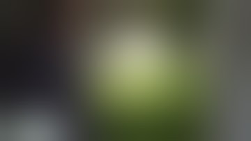 Introduction to Scrogging