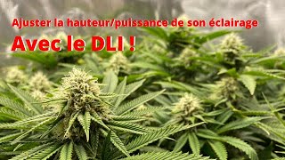 Log#27: Adjusting Your Grow Light Height & Intensity!