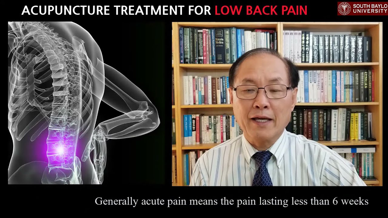 Acupuncture Treatment for  Low Back Pain ｜ South Baylo University ｜ Acupuncture Clinic