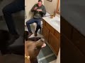 “Bears on the Loose!” #ai #funny #comedy
