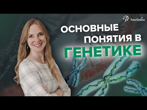 Видео: Ответственны ли гены за все признаки организма?